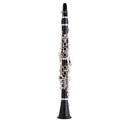 Clarinet for crazy 1