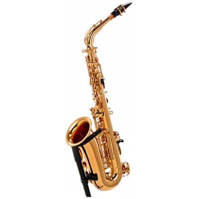 Saxophone for kids 2